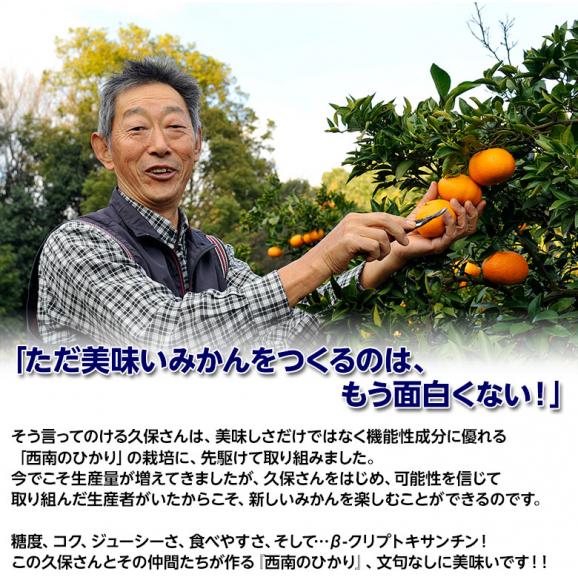 みかん 柑橘 訳あり品 香川県産 西南のひかり 約5kg (M～3L) 送料無料06
