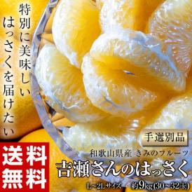 八朔 柑橘 和歌山県産 きみのフルーツのはっさく 手選別品 約9kg L-2Lサイズ (目安として30～32玉) 送料無料