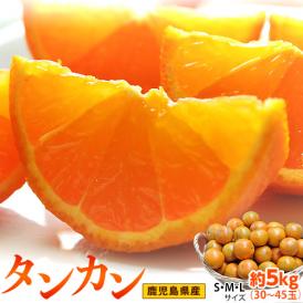 JA南さつま『タンカン』 鹿児島県産　柑橘　S～Lサイズ　約5kg(30～45玉)　産地箱入※常温 送料無料
