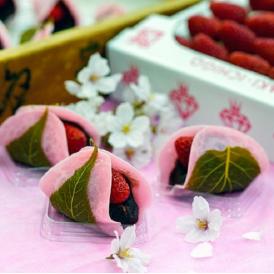 ミガキイチゴを使った「いちご桜餅」 4個　※冷蔵　【母の日ギフト】カーネーション（造花）・メッセージカード付 送料無料