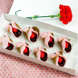 ミガキイチゴを使った「いちご桜餅」 8個　※冷蔵　カーネーション（造花）・メッセージカード付 【母の日ギフト】送料無料