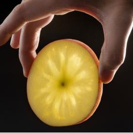 蜜入りりんご　『こみつ』　青森県石川地区産　 約2kg　(6～12玉) ×2箱　※常温