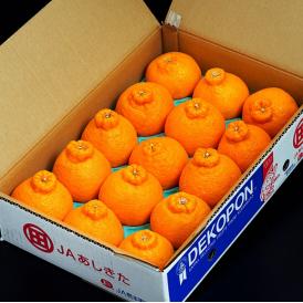 『デコポン』 熊本県産柑橘 優品以上 約5kg 12～15玉　産地箱入　※常温 送料無料