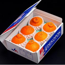 『デコポン』 熊本県産柑橘 優品以上 約1.8kg 4～6玉　化粧箱入　※常温 送料無料