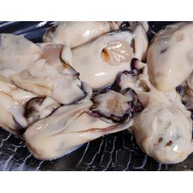 広島県産 生冷凍 剥き牡蠣 2Lサイズ 総重量1kg（net850g） バラ凍結・加熱用 ※冷凍