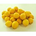 【相場下落】チリ産　レモン　約15kg （目安100～160玉） ※常温 送料無料