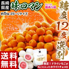 長崎県産　味ロマン 約5kg (2S～Ｌ)　＋いちご丸ごとホワイトチョコ125g　※常温 送料無料