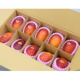 超大玉『みやざき完熟マンゴー』宮崎県産 3L(450～509g) ×10玉 ※常温 送料無料
