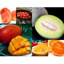 『初夏のフルーツ みやざき完熟マンゴーほか全6品目 』 フルーツ6種 計約4.8kg 簡易梱包　送料無料