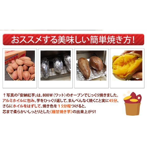 長期熟成 『安納紅芋』 鹿児島県 種子島産 正規品 約2kg ※常温 送料無料06