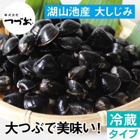 【冷蔵】【活／大】ヤマトシジミ（鳥取市 湖山池産） 1kg