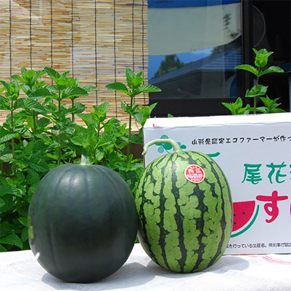 尾花沢すいか小玉2玉 緑 黒おまかせ 山形うまいずの通販 お取り寄せなら ぐるすぐり