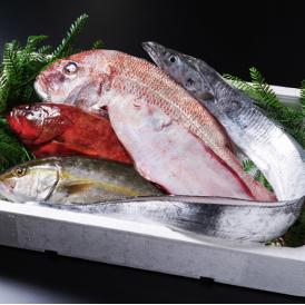 【ふるさと納税】《高級魚》季節のおまかせ鮮魚セット（1～2種）（カネナカ水産）