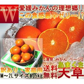 産地直送 天草オレンジ あまくさ 約5kg 愛媛県産 訳あり品 果汁豊富でとろける食感！抜群の鮮度と濃厚な甘さ