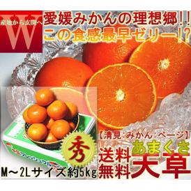 産地直送 天草オレンジ あまくさ 約5kg 愛媛県産 贈答規格 果汁豊富でとろける食感！濃厚な甘さの新鮮なギフトフルーツ