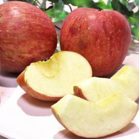 サンフジりんご あおもり林檎 約5kg 10～20玉 青森県産 無袋栽培で濃厚な味と高糖度！甘み豊かな本場のリンゴ