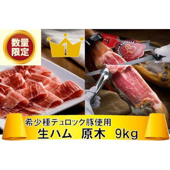 限定10セット 早い者勝ち 送料無料 一部地域除く Batalle社デュロック種 ハモンセラーノ スペイン産24ヶ月長期熟成生ハム 骨付き 原木 約9kg 生ハム 原木 冷蔵 World Dinerの通販 お取り寄せなら ぐるすぐり