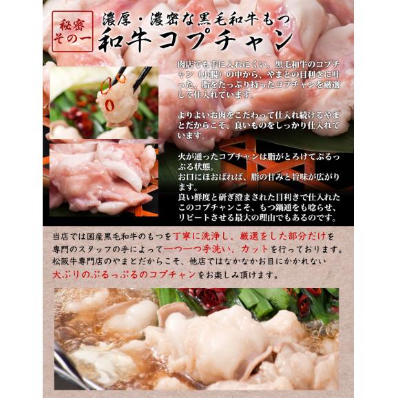 チーズカレーもつ鍋セット 2 3人用 特選松阪牛専門店やまとの通販 お取り寄せなら ぐるすぐり