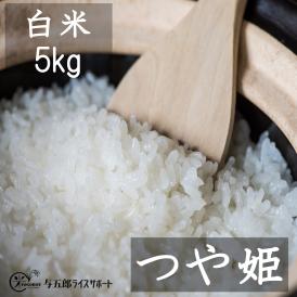 【令和３年産】山形特別栽培米認定 つや姫 白米5kg  《氷河米》山形 庄内 農家直送　米　お米