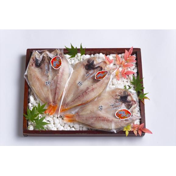 浜田港 のどぐろ干物セット 大 株式会社シーライフの通販 お取り寄せなら ぐるすぐり