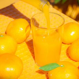 オレンジハート　ジュース