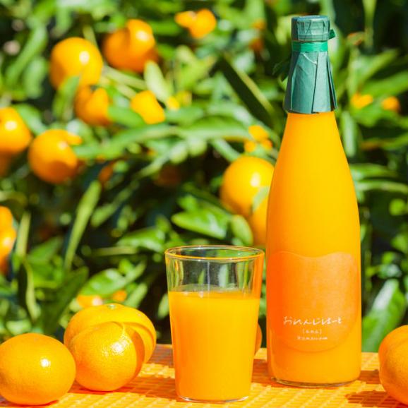 おれんじはーと 無添加100 オレンジジュース 12本 送料無料 北海道 沖縄は500円 おれんじはーとの通販 お取り寄せなら ぐるすぐり