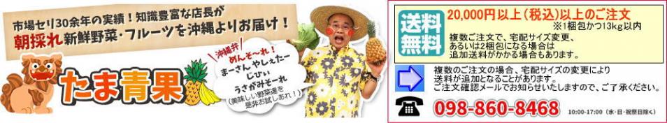 沖縄たま青果