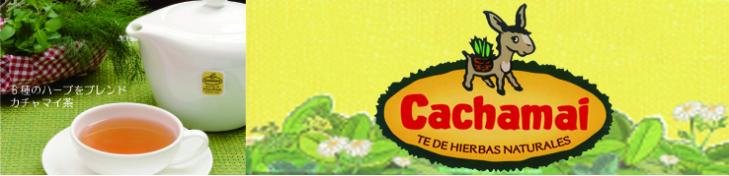 カチャマイジャパン