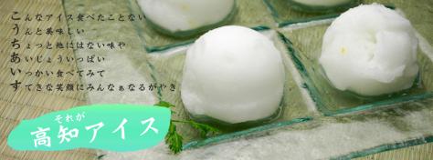 有限会社高知アイス