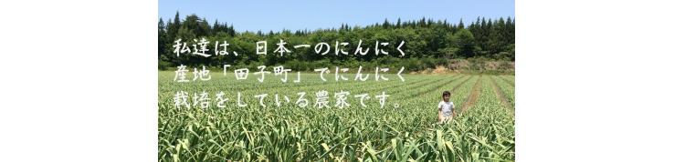 有限会社 沢田ファーム
